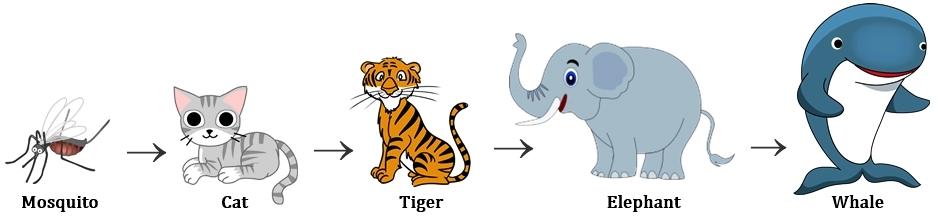 cgl tiere 2015 questions and answer, logical sequence of words questions of cgl 2015