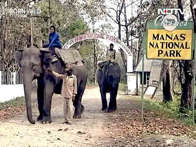Manas National Park Issues and Analysis @ abhipedia Powered by ABHIMANU IAS