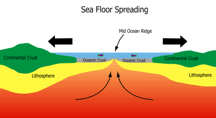 Sea Floor Spreading Theory Issues And