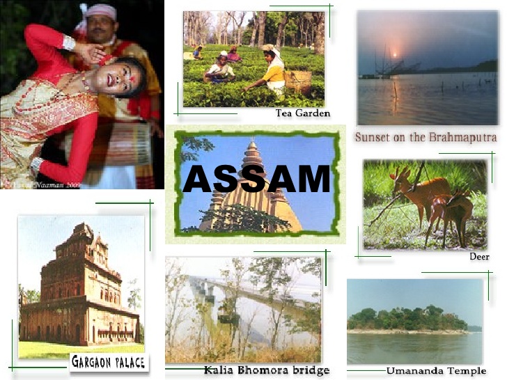 tourism resources of assam